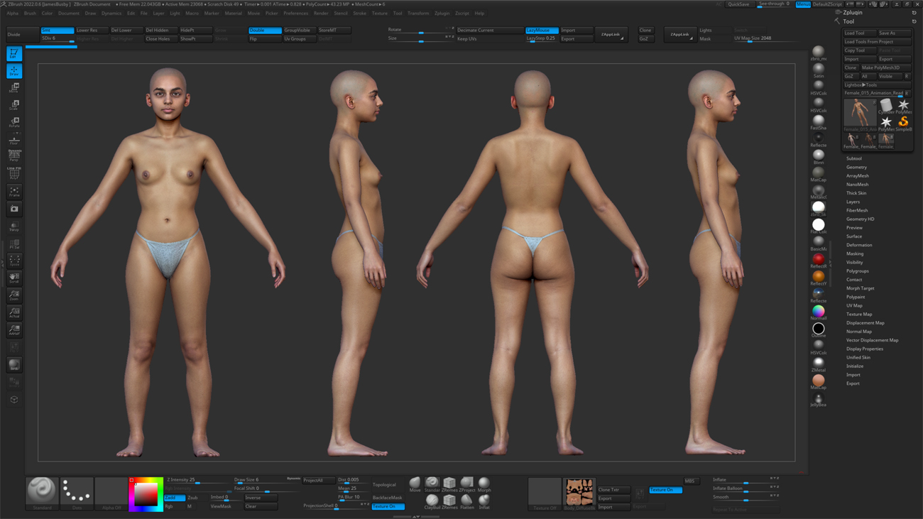 ZBrush ZTool render of a slim female 3D body scan at high subdivision level showing sculpt-ready quad geometry